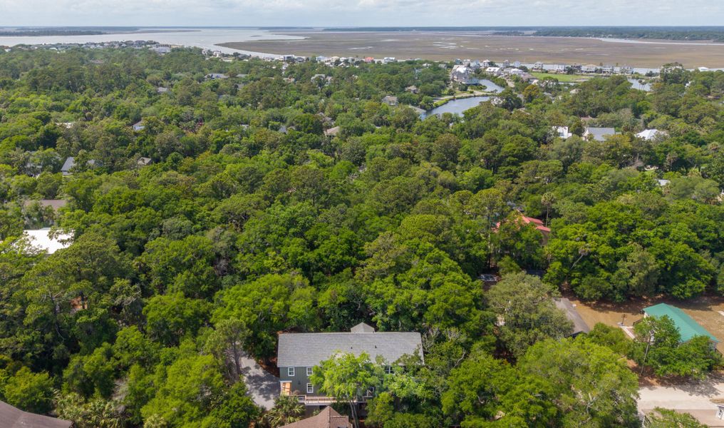 Natural landscape and outdoor views near  in Edisto Island (Image 48).