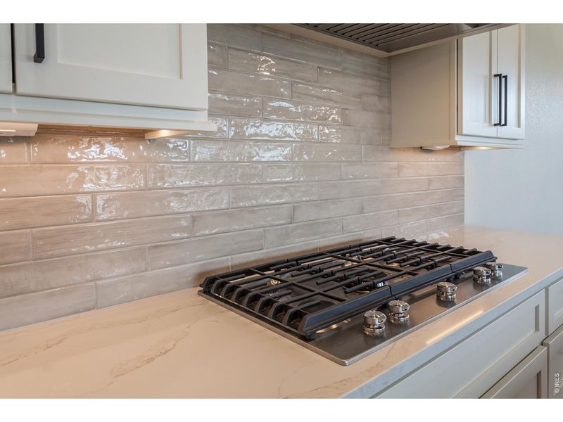 Close-up of interior finishes inside a home in Harvest Ridge, Berthoud (Image 21).