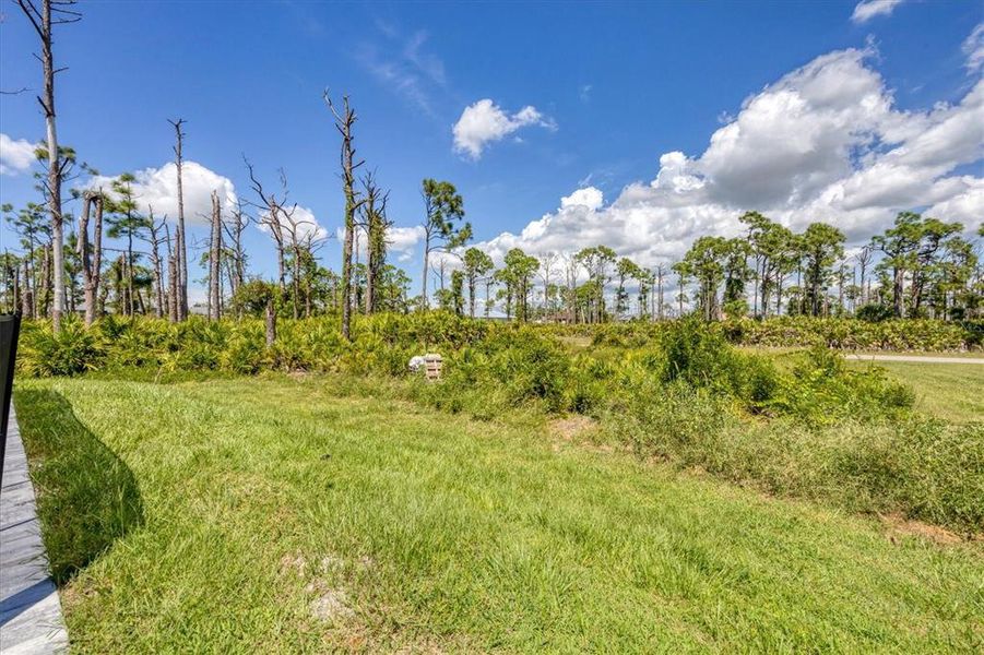 Natural landscape and outdoor views near in Placida (Image 33). Natural landscape and outdoor views near in Placida (Image 33).