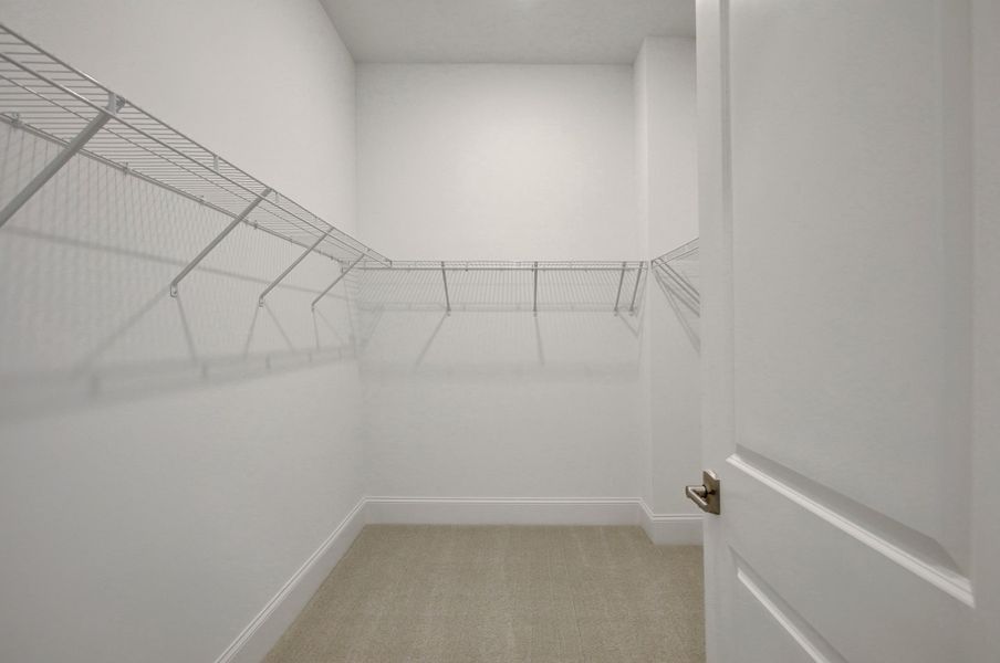 Model Photo Used for Reference