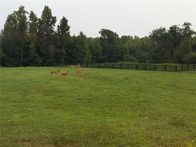 Natural landscape and outdoor views near in Ball Ground (Image 31). Natural landscape and outdoor views near in Ball Ground (Image 31).