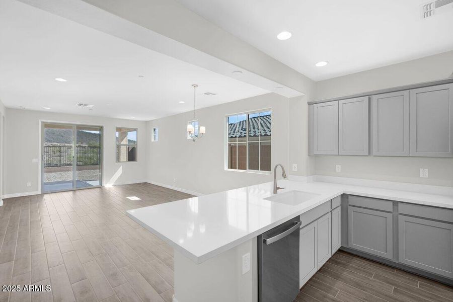 hj-az-phoenix-mystic-discovery-lily-lot-