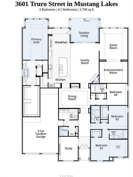 2D floor plan layout of this home in Mustang Lakes, Celina, TX (Image 2).