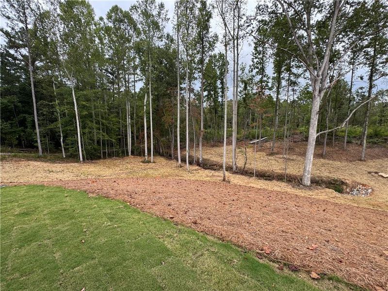 Natural landscape and outdoor views near in Buchanan (Image 42). Natural landscape and outdoor views near in Buchanan (Image 42).