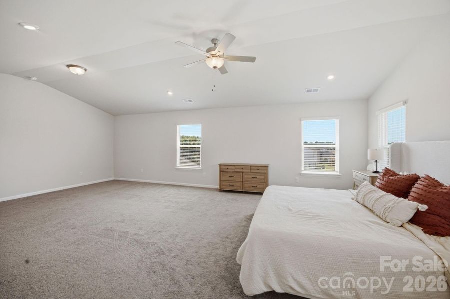 Vaulted primary ceilings
