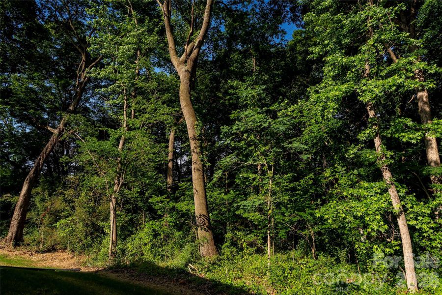 Natural landscape and outdoor views near in Monroe (Image 33). Natural landscape and outdoor views near in Monroe (Image 33).