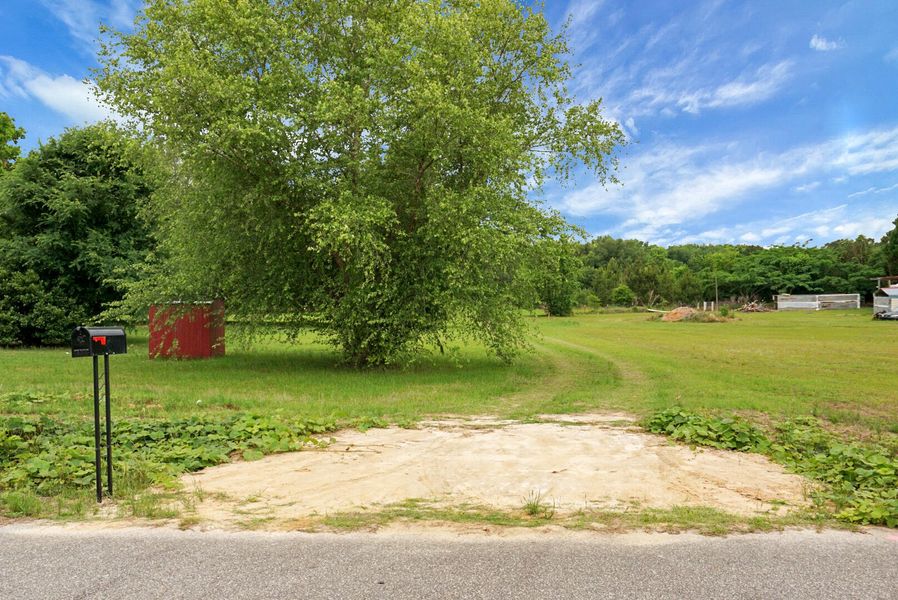 Natural landscape and outdoor views near  in Eutawville (Image 47).