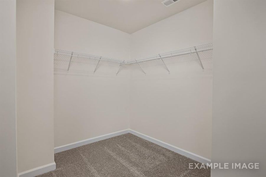 Walk in closet with carpet flooring