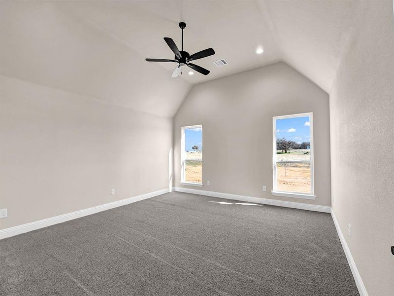 Carpeted spare room with lofted ceiling and ceiling fan