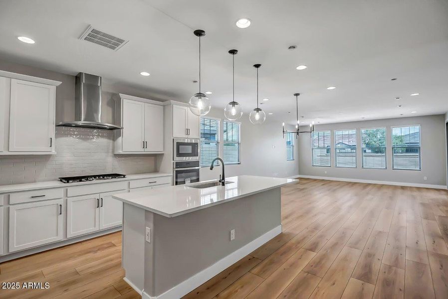 Mesquite Lot 213 (3)