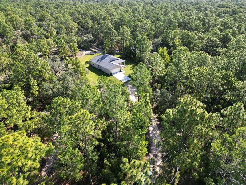 Natural landscape and outdoor views near  in Brooksville (Image 36).