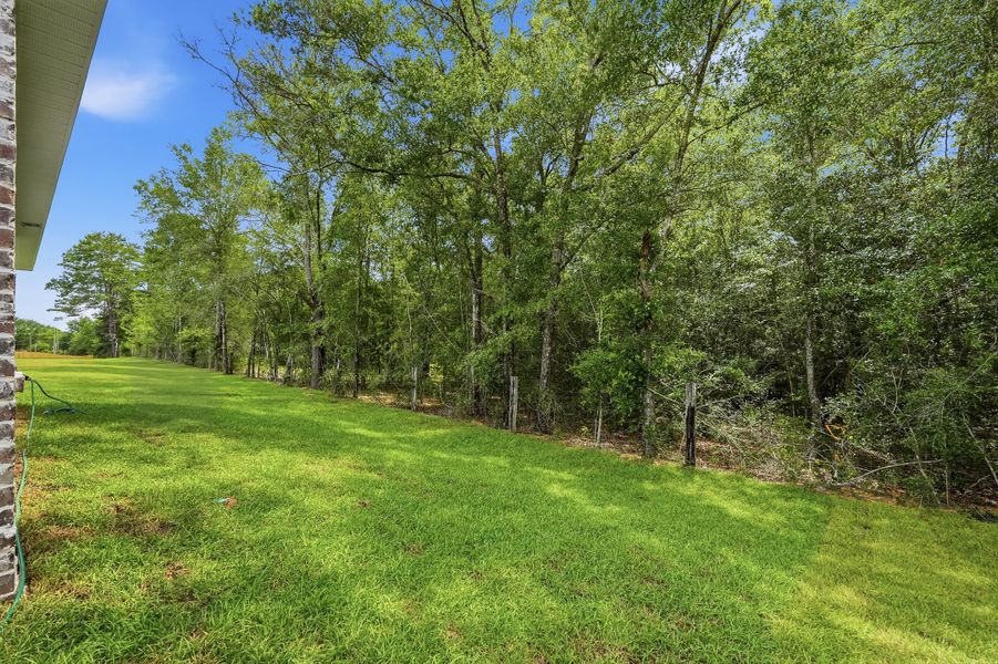 Natural landscape and outdoor views near McCarthy Estates in Defuniak Springs (Image 48). Natural landscape and outdoor views near McCarthy Estates in Defuniak Springs (Image 48).
