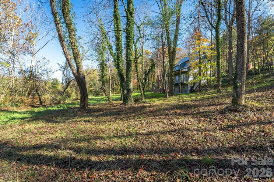 so much privacy with both cleared areas and tress