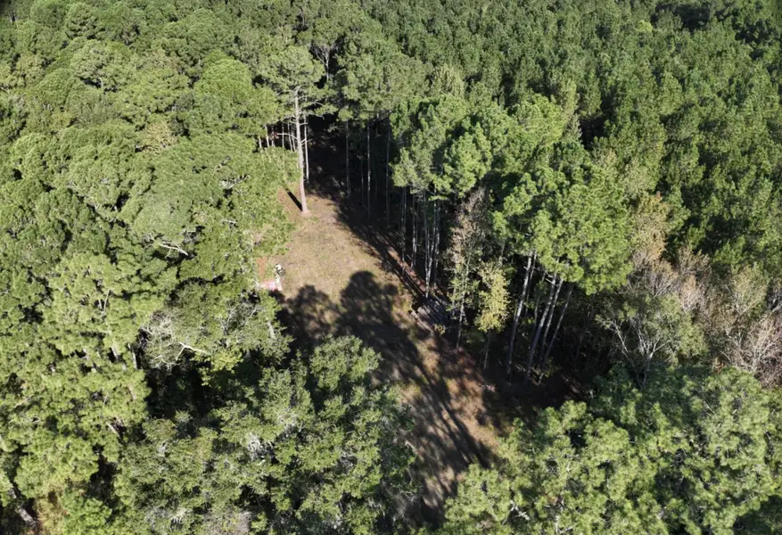 Natural landscape and outdoor views near  in McClellanville (Image 15).