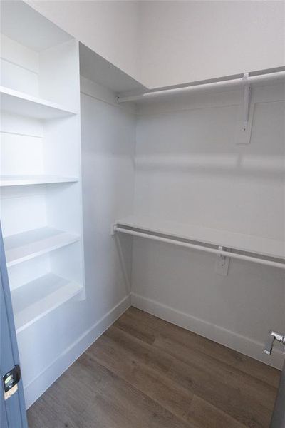 Walk in closet featuring dark hardwood / wood-style floors