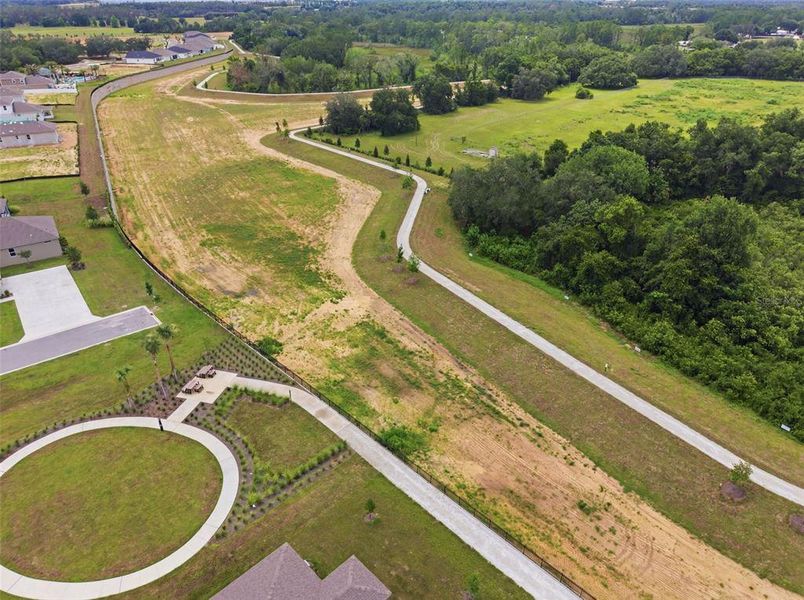 Site preparation for new homesites in , Clermont (Image 42).