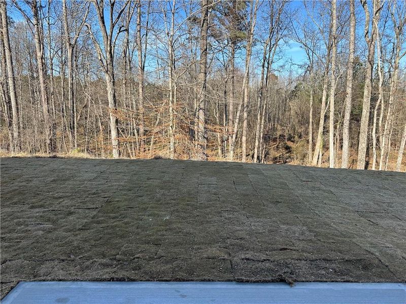 Natural landscape and outdoor views near Millstone at Mundy Mill in Gainesville (Image 31).