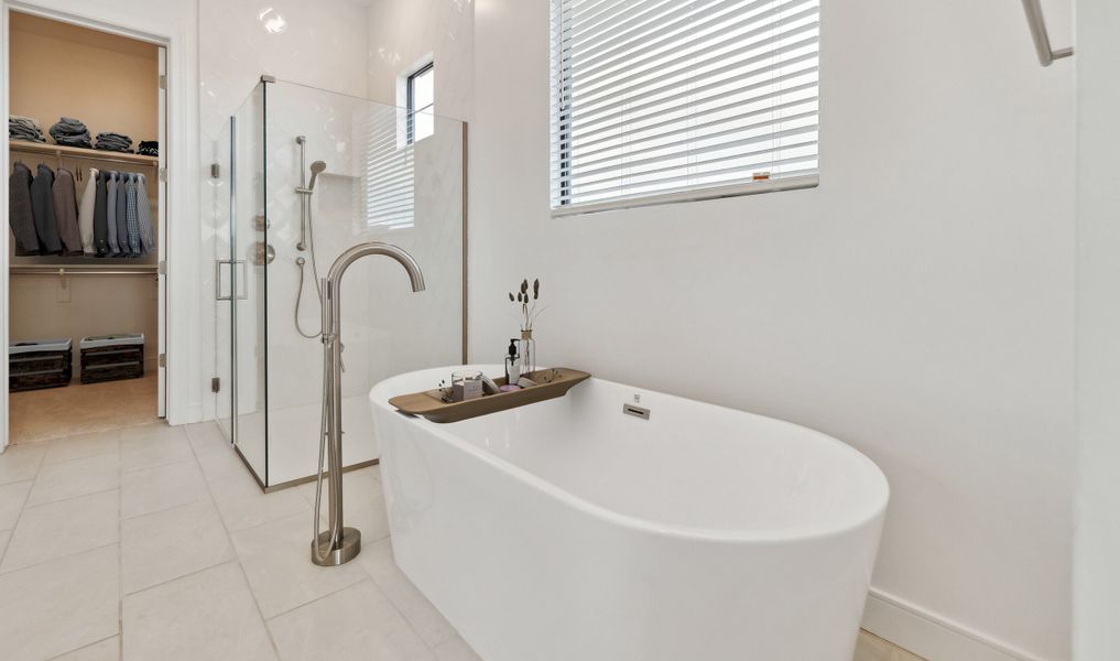 Freestanding tub and primary walk-in closet Freestanding tub and primary walk-in closet