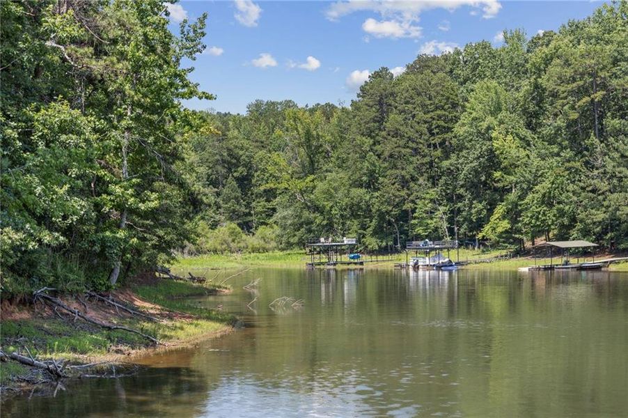 Natural landscape and outdoor views near Chattahoochee Reserve in Cumming (Image 78).