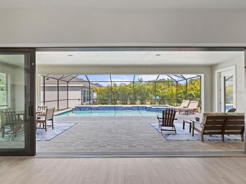 Community amenities in Waterset, Apollo Beach (Image 48).