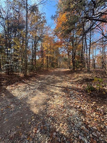 Natural landscape and outdoor views near in Dawsonville (Image 5). Natural landscape and outdoor views near in Dawsonville (Image 5).