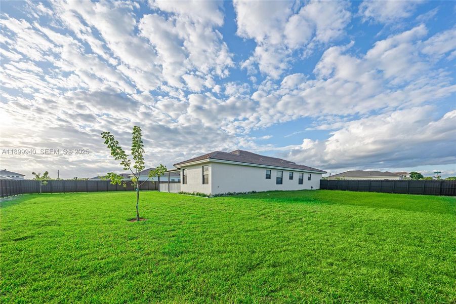 side and backyard