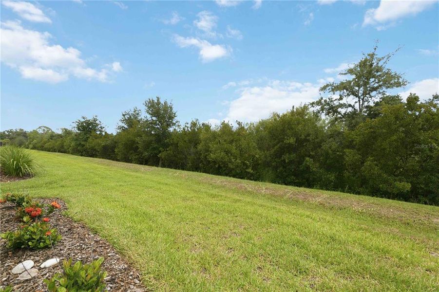 Natural landscape and outdoor views near in Nokomis (Image 35). Natural landscape and outdoor views near in Nokomis (Image 35).