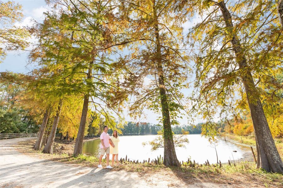 Image 17 of a home in Grand Central Park Deer Lake Estates.