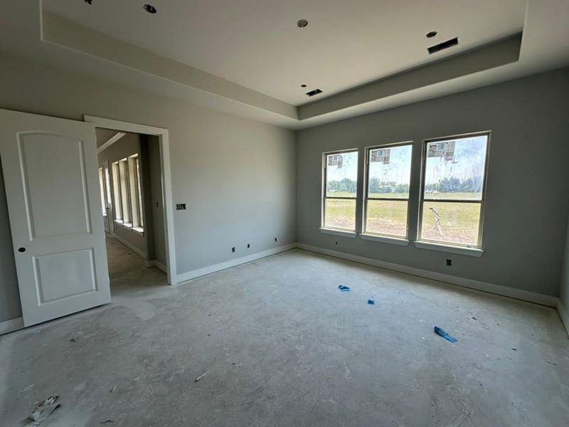 Spacious room featuring multiple windows, a tray ceiling, and a paneled door