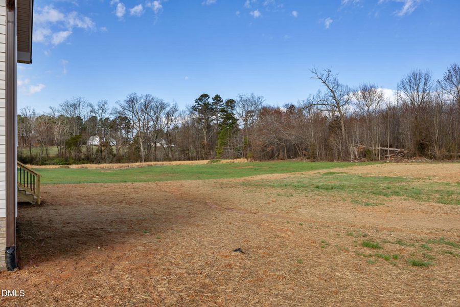 13-web-or-mls-13-IMG_7491