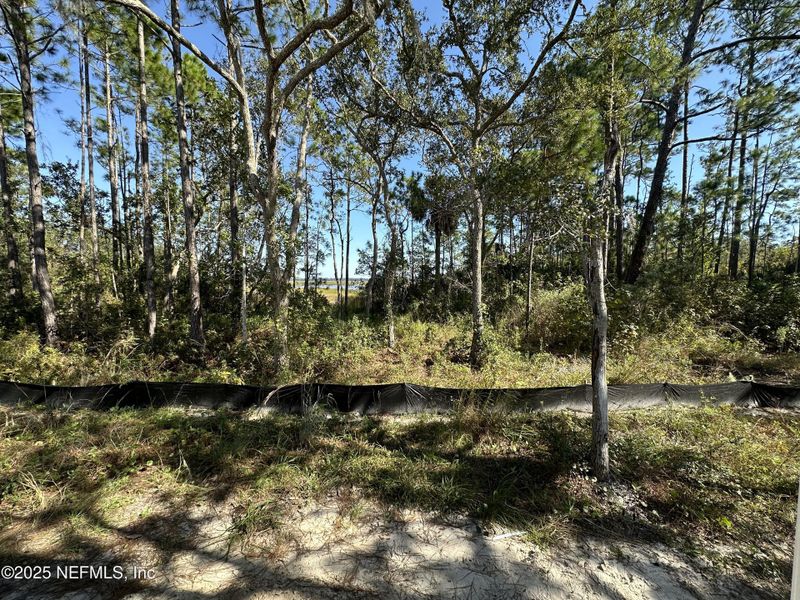 Natural landscape and outdoor views near in St. Augustine (Image 33). Natural landscape and outdoor views near in St. Augustine (Image 33).
