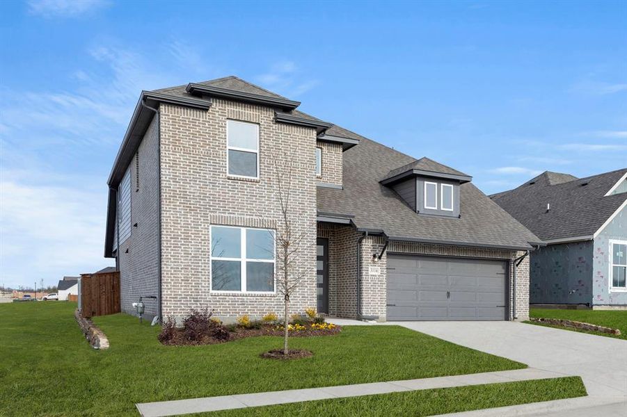 02. 3116 Goldfinch - Front (2) 02. 3116 Goldfinch - Front (2)