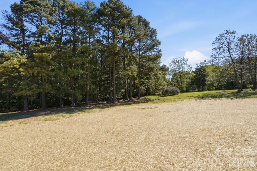 Natural landscape and outdoor views near  in Rock Hill (Image 33).