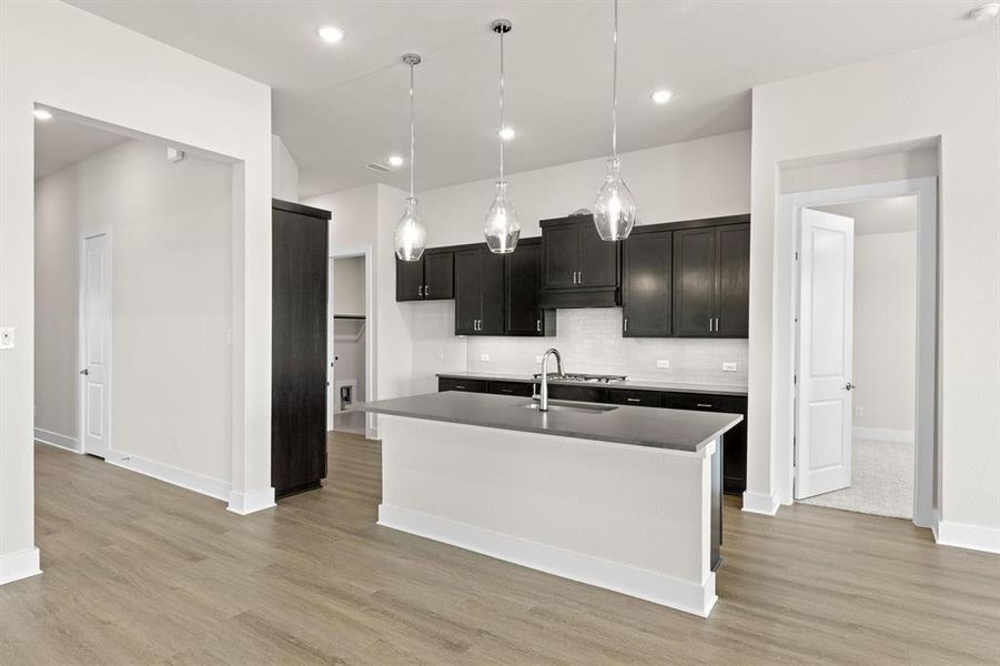 Discovery Collection at Painted Tree