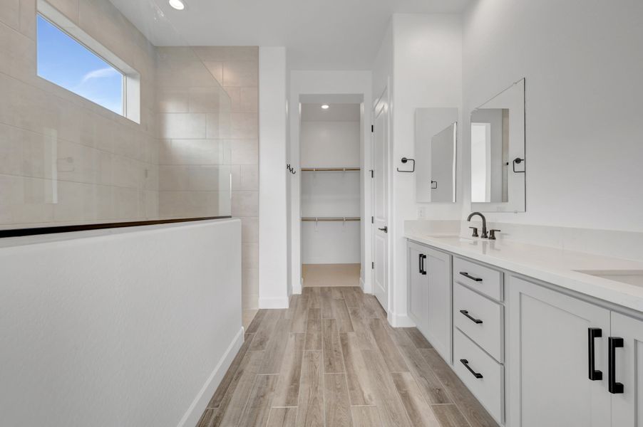 Owner's Bath