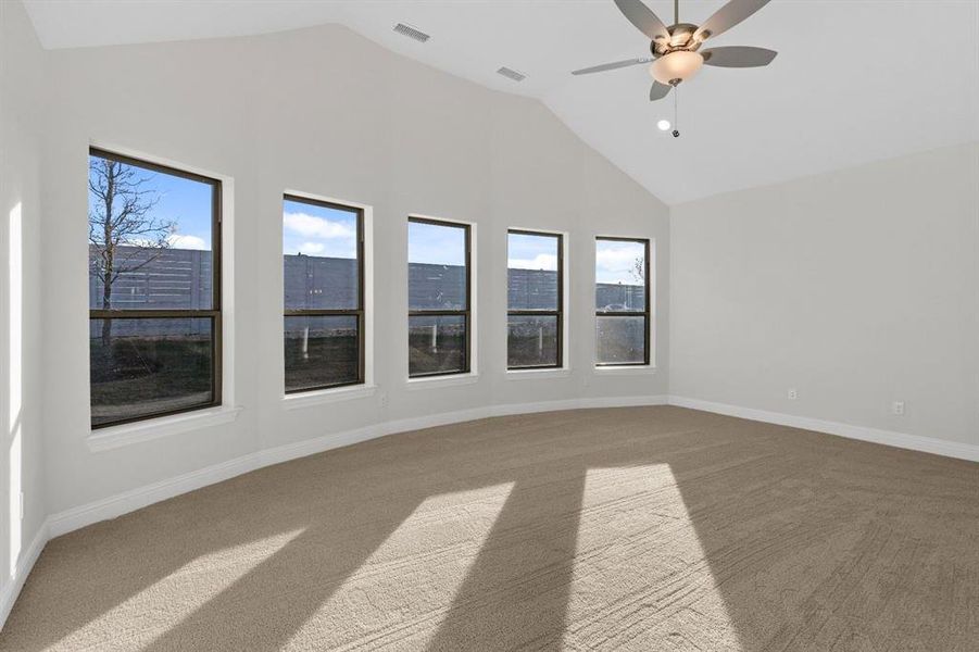 DAL_Painted Tree_Easton_3905 Menard Street (15)