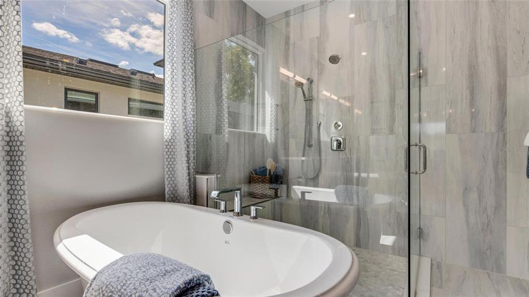 Furnished interior view inside a new home in Cresswind DeLand, Deland (Image 5). Furnished interior view inside a new home in Cresswind DeLand, Deland (Image 5).