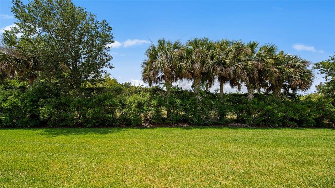 Natural landscape and outdoor views near Verandah in Fort Myers (Image 30). Natural landscape and outdoor views near Verandah in Fort Myers (Image 30).