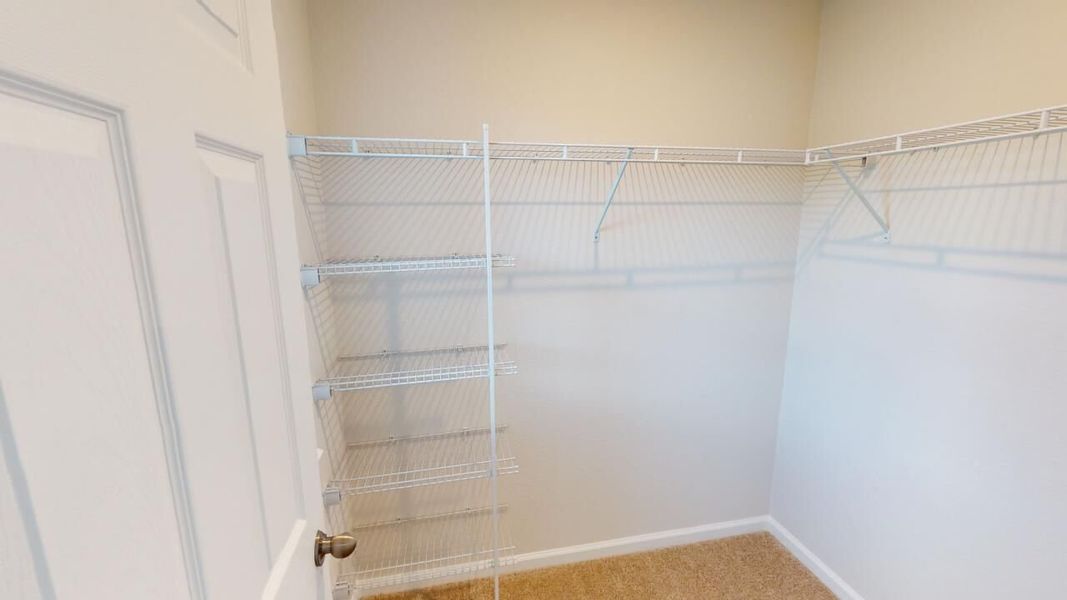 Spacious, unfurnished interior of a new home in RiverTown, St. Johns (Image 11).