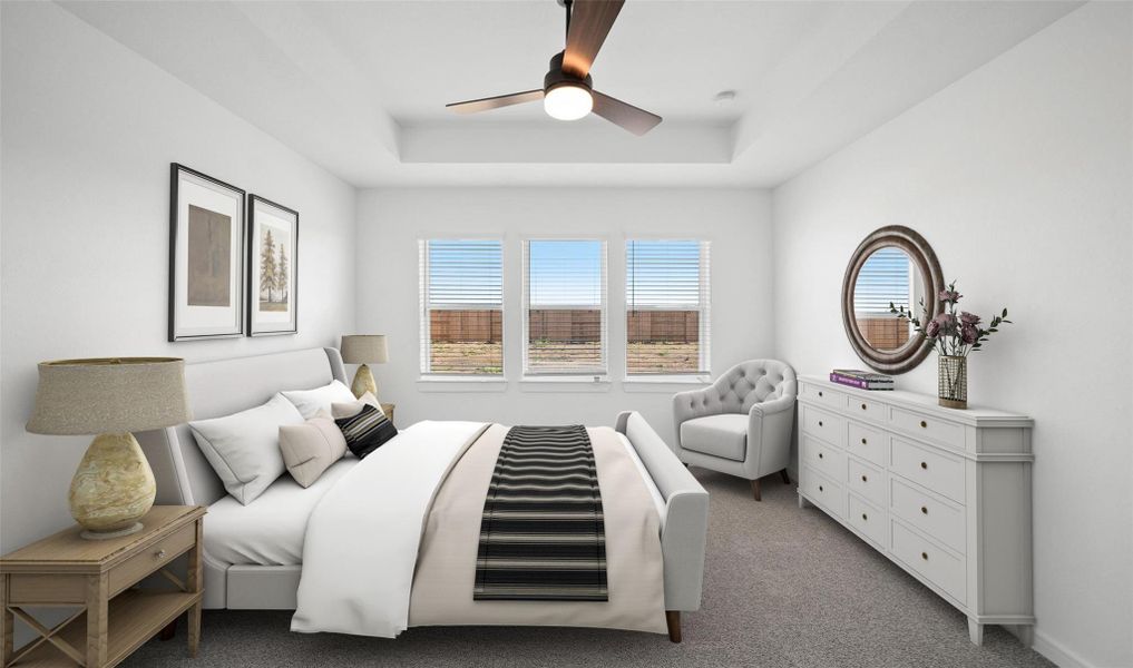 Spacious primary suite (*Photo not of actual home and used for illustration purposes only.)