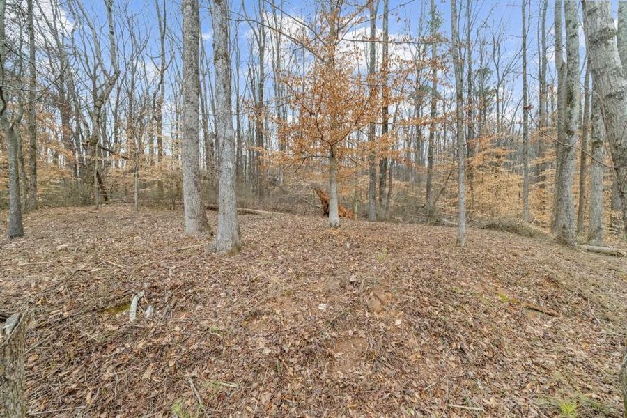 Natural landscape and outdoor views near  in Canton (Image 64).