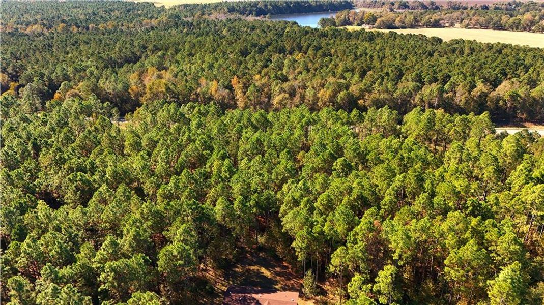 Natural landscape and outdoor views near  in Chester (Image 35).