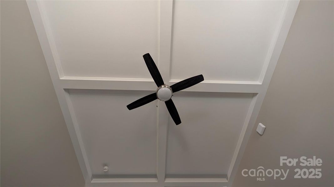 Coffered Ceilings