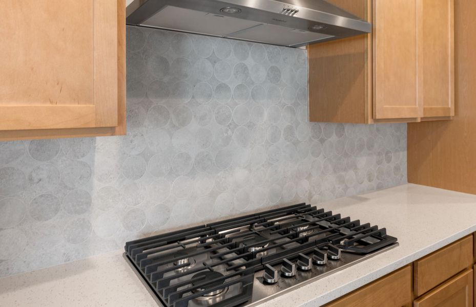 Close-up of interior finishes inside a home in Allen Ranches, Litchfield Park (Image 15).