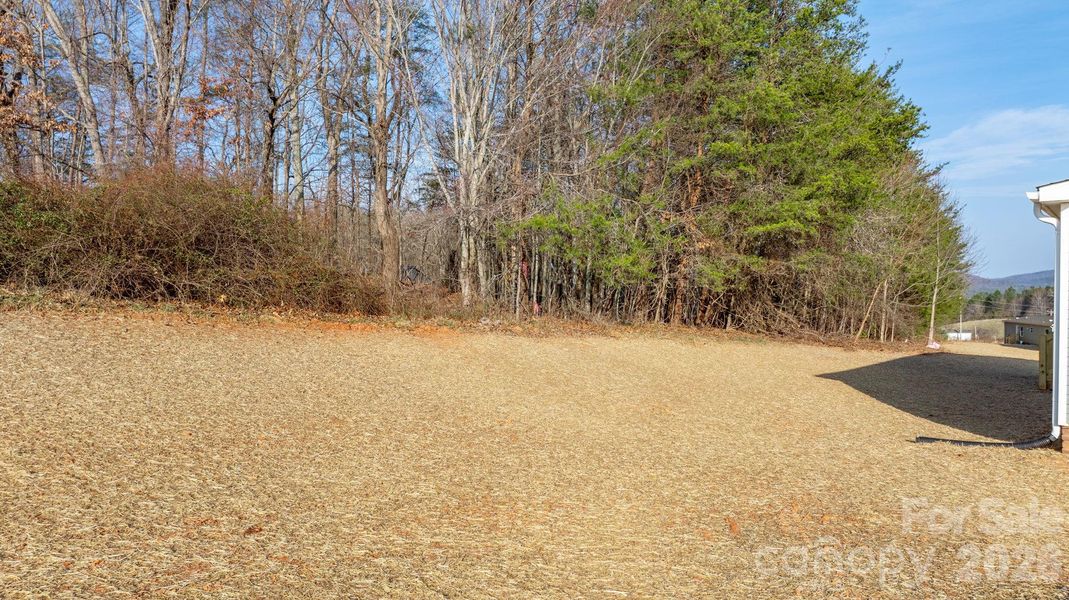Natural landscape and outdoor views near  in Connelly Springs (Image 35).