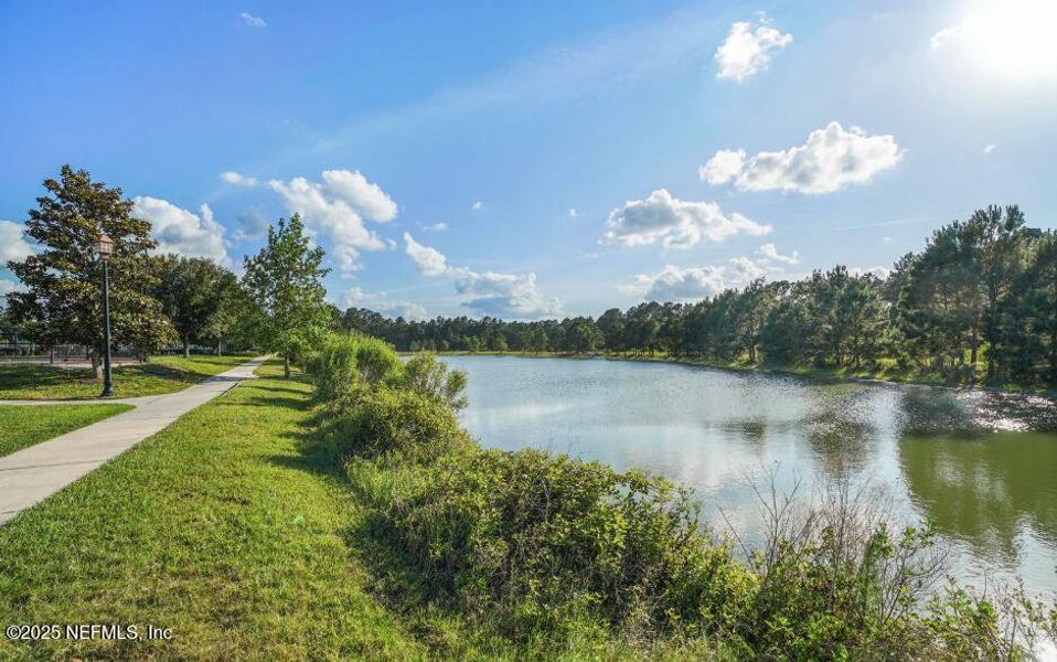 Natural landscape and outdoor views near  in Green Cove Springs (Image 26).