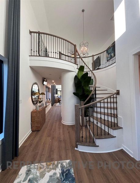 Representative Entry Representative Entry