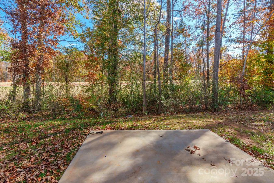 Natural landscape and outdoor views near McGee Place in Charlotte (Image 27).