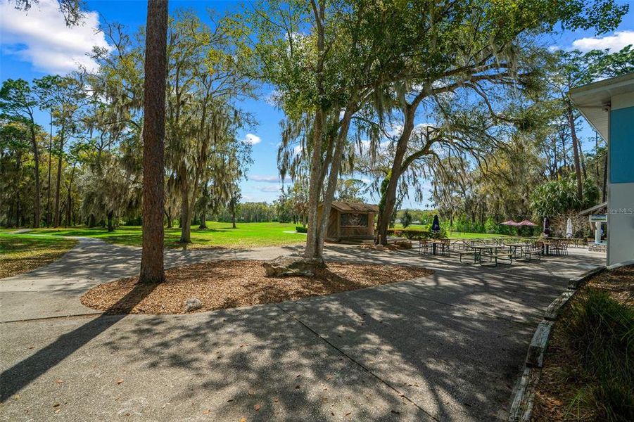 Natural landscape and outdoor views near Grand Park North in Dunnellon (Image 76).