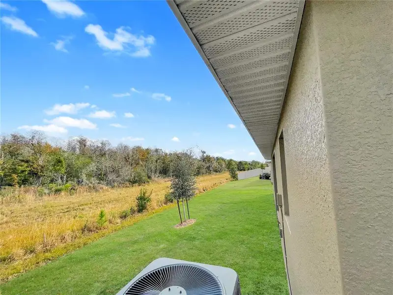 Exterior details and patio area of a home in Harmony Central, St. Cloud (Image 3).
